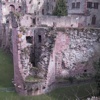 Schloss Heidelberg